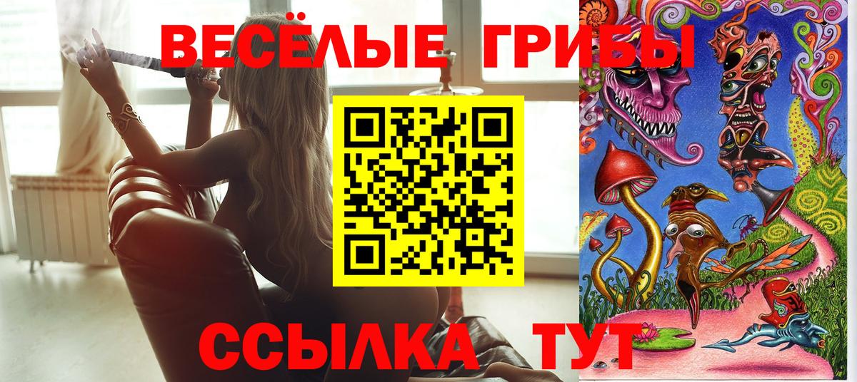 Псилоцибиновые грибы Psilocybe Учалы